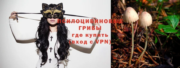Альфа ПВП Волоколамск
