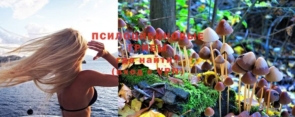 Альфа ПВП Волоколамск