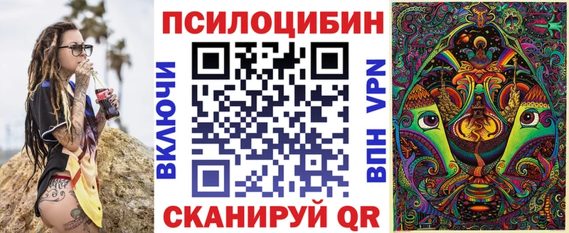 omg зеркало  купить наркотики сайты  Верхний Тагил  Псилоцибиновые грибы Magic Shrooms 